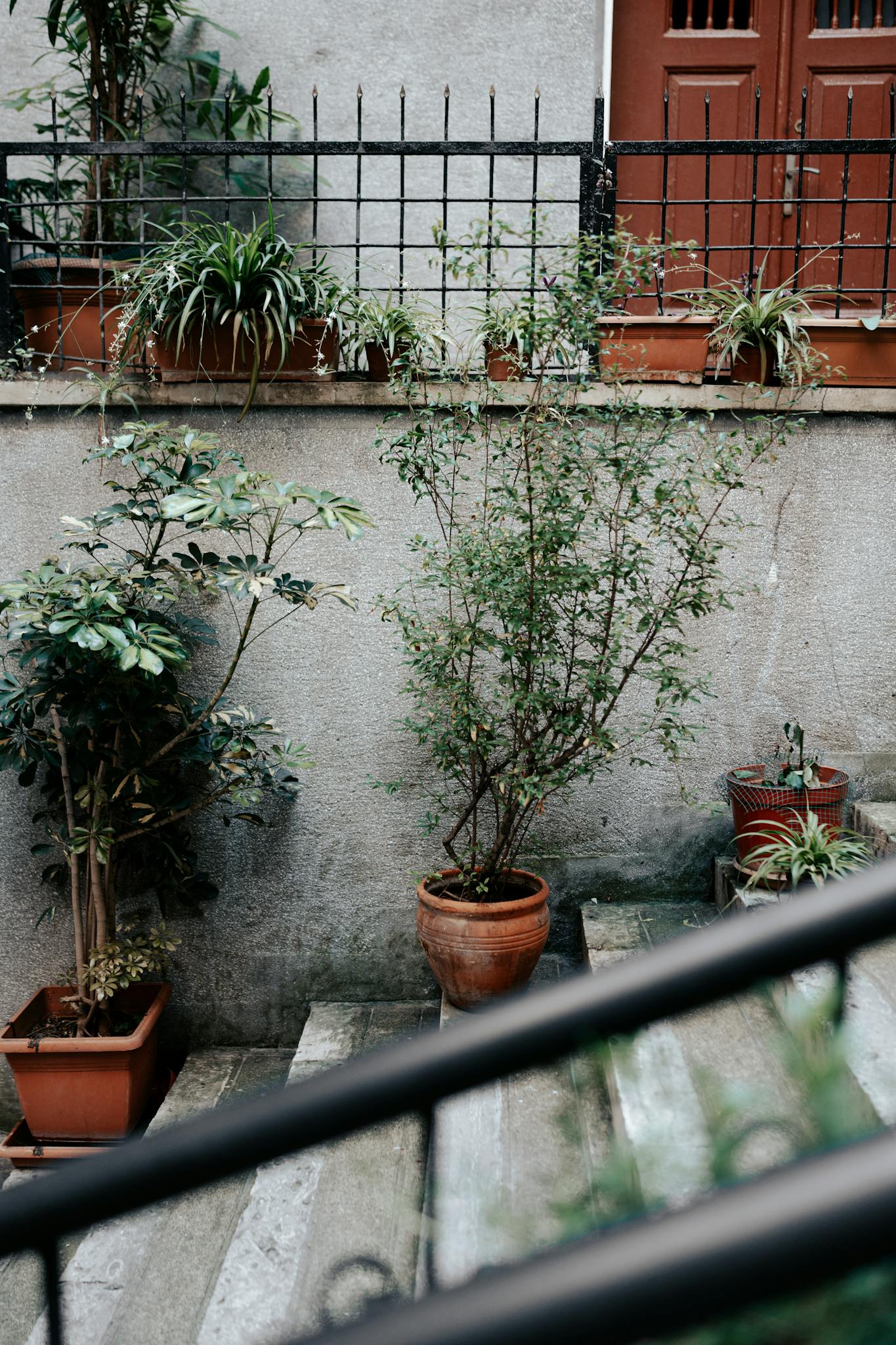 A serene urban courtyard featuring potted plants on concrete steps, adding greenery to a concrete setting.
