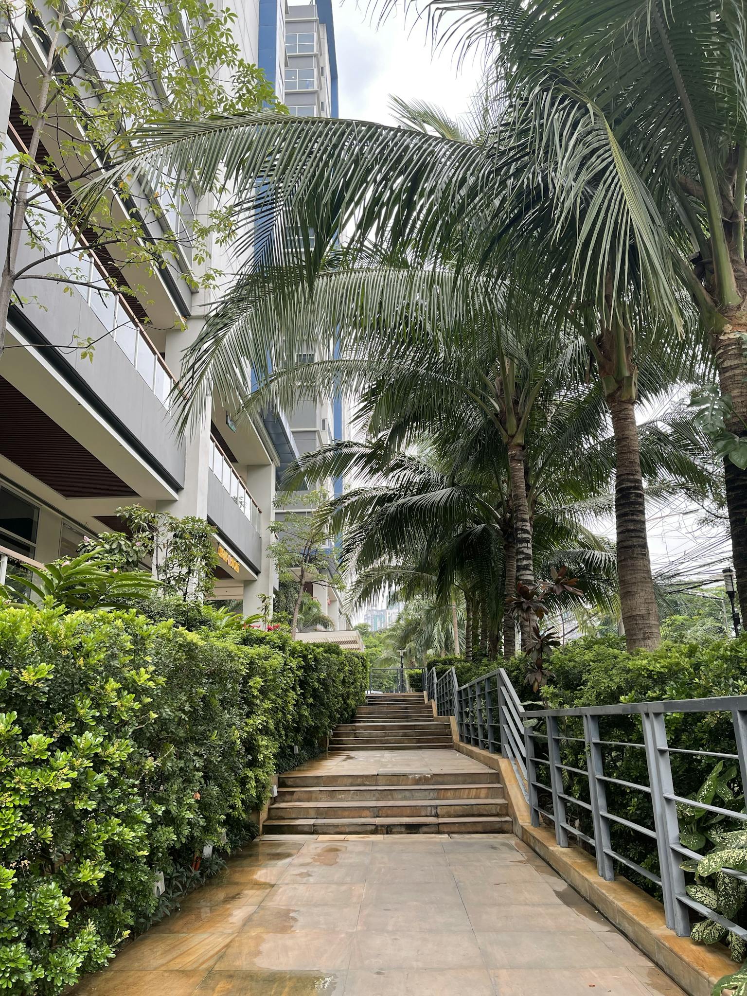 A vibrant city sidewalk with tropical palm trees and modern buildings.