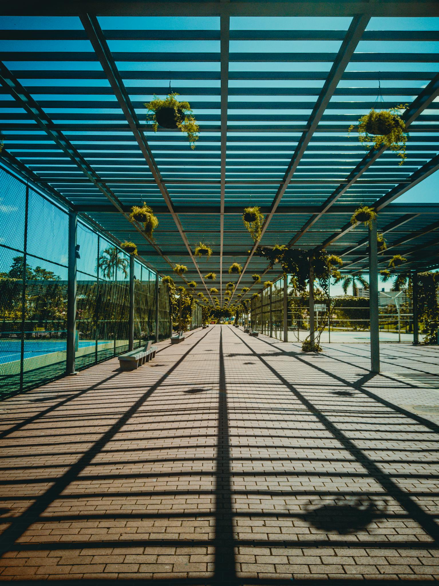 Perspective view of an urban pathway with hanging plants and striking shadow patterns under steel beams.