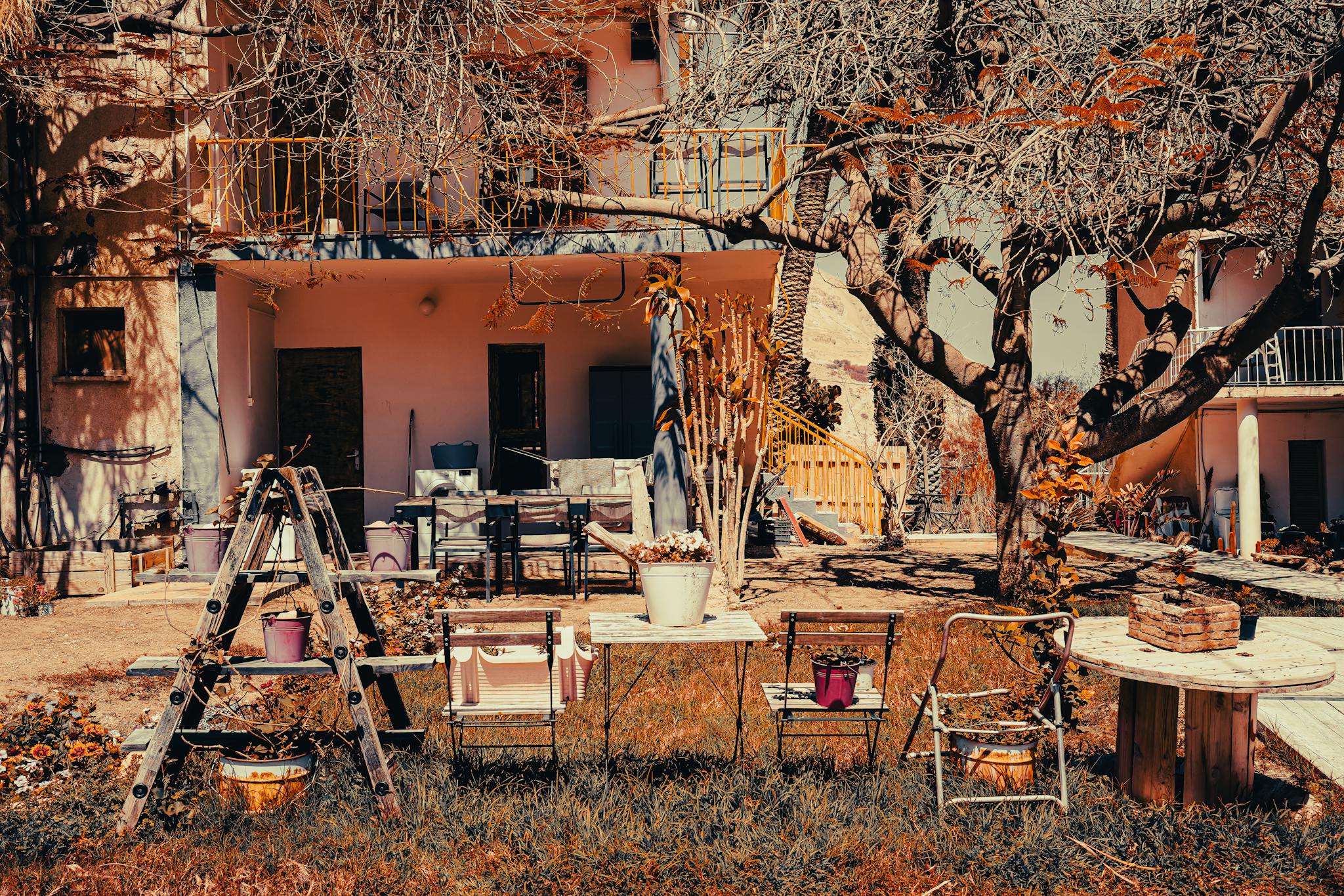 Rustic backyard space with garden decor and trees in Ein Gedi, Israel.